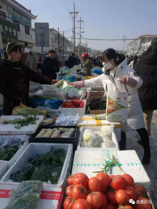白馬鋪鎮(zhèn)多措并舉，全力保障春節(jié)期間農(nóng)產(chǎn)品質(zhì)量安全